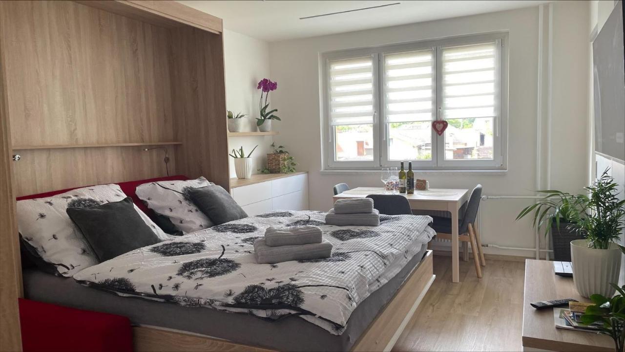 קיוב Apartman Na Zahradni מראה חיצוני תמונה